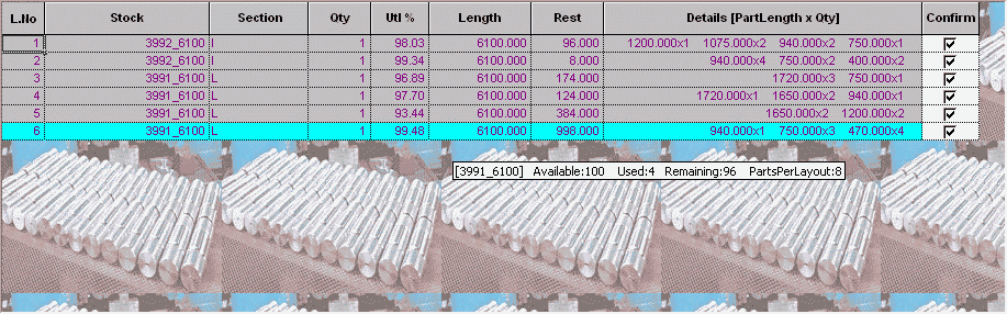 Nesting Software : Layout Summary